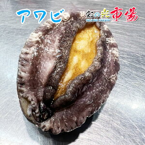 国産 天然 活 アワビ 1kg(1個あたり約100g) アワビ あわび バーベキュー 貝 冷蔵 魚介 海鮮 敬老の日 父の日 母の日 贈り物 BBQ バーベキュー 浜焼き