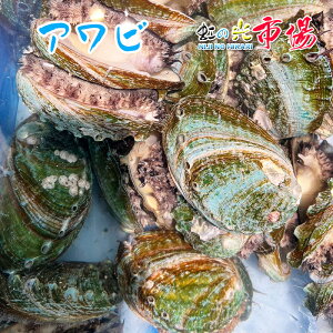 Y VR  Ar 1i1150gj Ar  o[xL[ L ①  CN hV̓ ̓ ̓ 蕨 BBQ o[xL[ lĂ