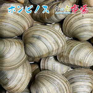 ]ˑO Ɩp tY zrmX 10kg (60-80) قт̂