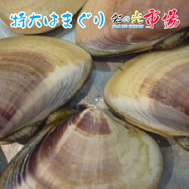 特大 はまぐり 約2kg (約13〜16個) ハマグリ バーベキュー バター焼き 貝 水産物 蛤