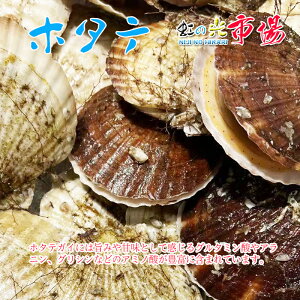  kt z^e 5 Y ق  vv o[xL[ ①  CN hV̓ ̓ ̓ 蕨 BBQ o[xL[ lĂ