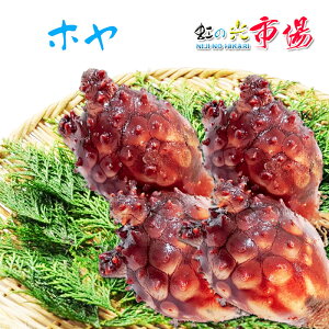 旬の味!生ホヤ貝 養殖 3個 宮城産 ほや 旬は夏 海鞘 海のパイナップル 肉厚 酢の物 天ぷら キムチ ホヤ 海鞘 珍味