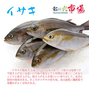 魚 イサキの人気商品 通販 価格比較 価格 Com