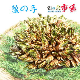 高級食材 生 亀の手 カメノテ 1kg 塩焼き 酒蒸し 味噌汁・鍋物 稀少 西日本産 海のダイヤモンド 珍しさ 高タンパク 低カロリー
