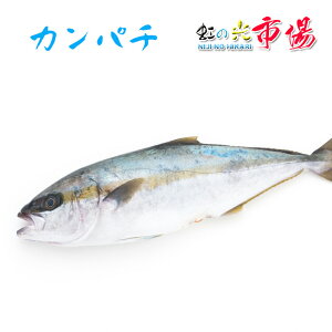 かんぱちの人気商品 通販 価格比較 価格 Com