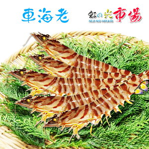 N}Gr 1kg i40Cj CV  ①  CN hV̓ ̓ ̓ 蕨 BBQ o[xL[ lĂ