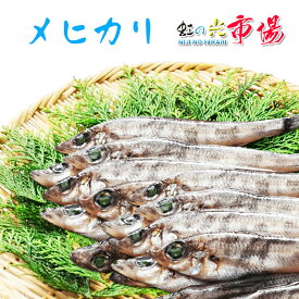 めひかり メヒカリ 旬の味 2kg（1尾 約30g前後 10~15cm） 目ひかり 高級魚