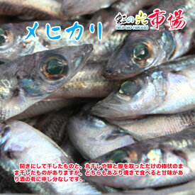 めひかり メヒカリ 旬の味 1kg（1尾 約30g前後 10~15cm） 目ひかり 高級魚