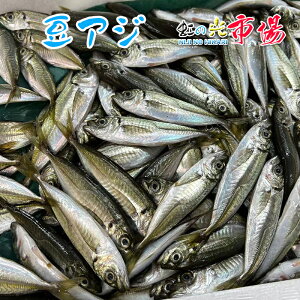 業務用 千葉産 まめあじ 1箱 約8kg (1尾 約30~60g 10センチぐらい) じんた ジンタ アジ 鯵 豆アジ