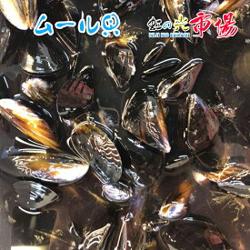 生ムール貝 3kg 貝類 生鮮 焼き 香草パン粉焼きフランス料理