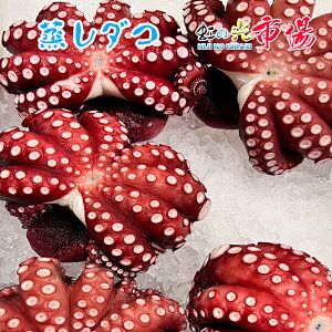 _R 11kg  hg il^ st ^RĂ g Ɩp 茧Y _R Y