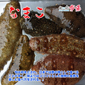Ȃ܂ |̂ ς 蕨 i}R Cl N  1kg@ΐY