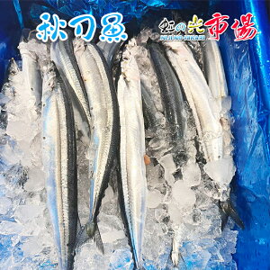 Ɩp TCY T}  4kg 23~28 (1140~170g) H kC Ă Ă g VՂ