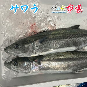 T 1 4~5kg   C