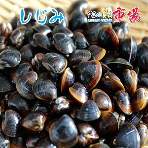  3kg VW~  L X` ݃pX^ ݏ`