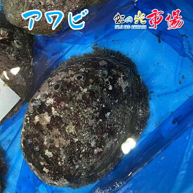 国産 天然 活 三陸産特大アワビ 2個　（1個400g前後） アワビ あわび バーベキュー 貝