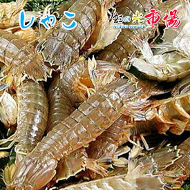 シャコ 蝦蛄 シャコエビ 500g（1kg約20~25匹）しゃこ 煮つけ 素揚げ 水産物
