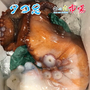 業務用　デカ生タコ足 3本(1本 約900〜1.2kg) 岩手県産 タコ たこ 蛸