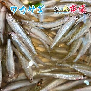 X 쌴 JTM 500g 킩  