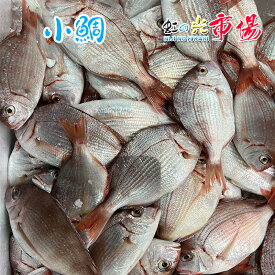 小鯛 約1kg（約2-3尾）鯛 タイ たい 鮮魚 刺身