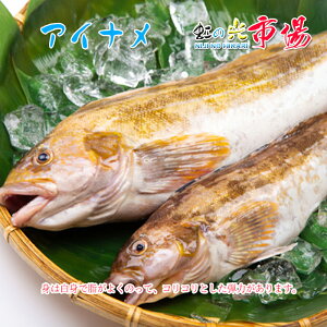 あいなめ 魚介類の通販 価格比較 価格 Com