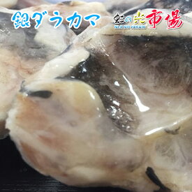 業務用 高級魚 銀ダラ カマ 3kg (15-24個前後) 稀少