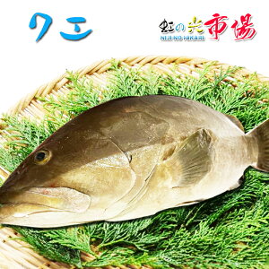 NG (A) 1 1`2kg    C  ̋ j 蕨 ̓ ̓ @hg  ϕt  z gȂ