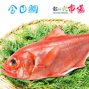 ���ڑ� �� 1�� ��800-1kg ��t�E�_�ސ쌧�Y