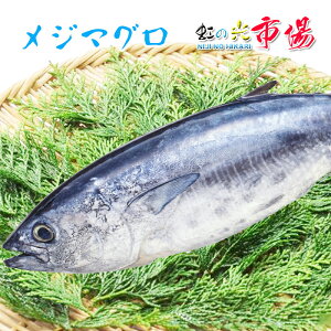 W}O 7`8kg kCEBY ߂܂ { hg Ђ Ă Ε j 蕨