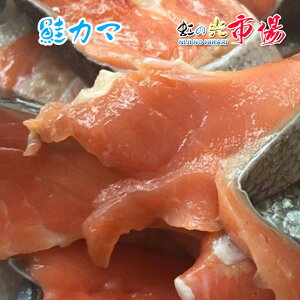 (󂠂)  J}Eؐg ؂藎Ƃ É Ղ2kg (gE)