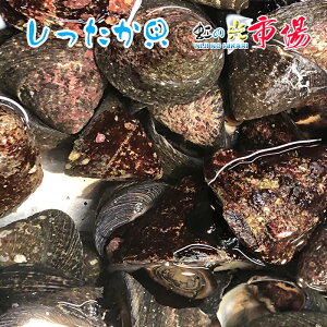  L 1kg Vb^J K Y o[xL[ o^[Ă L Y VN ①  CN hV̓ ̓ ̓ 蕨 BBQ o[xL[ lĂ