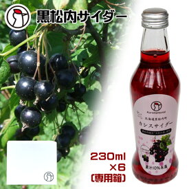 黒松内サイダー　カシスサイダー　230ml×6本　専用ボックス　産地直送　くろまつない　黒松内銘水　名水　天然水　フルーツサイダー　炭酸　ジュース　ご当地