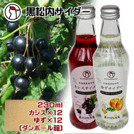 黒松内サイダー　カシスサイダー＆ゆずサイダー　230ml×各12本　ダンボール箱　産地直送　くろまつない　黒松内銘水　名水　天然水　フルーツサイダー　炭酸　ジュース　ご当地