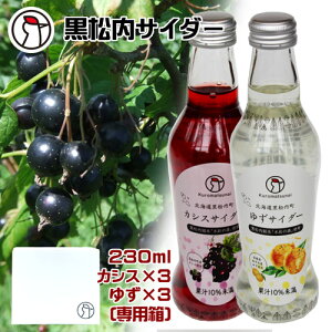 TC_[@JVXTC_[䂸TC_[@230ml×e3{@p{bNX@Yn@܂Ȃ@@@VR@t[cTC_[@Y_@W[X@n