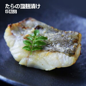 [J[@JlgY@kC@ÕOlY@̉Ђ i5؁jϔ@Ⓚ@L@^@y؁@