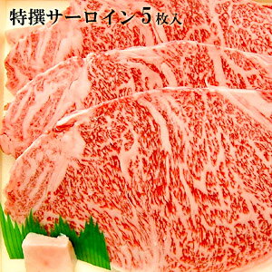 kC璼@тƂa@ A4EA5N@ׂ@T[CXe[L@200g×5@@uha@kCY@@Yn