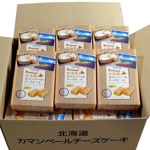 MX@̏@kCJ}x[`[YP[Li4j×24i1P[XjƖp@@܂Ƃߔ@XC[c@n@mَq@V܁@kC