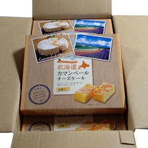 MX@̏@J}x[`[YP[Li8j×16i1P[XjƖp@@܂Ƃߔ@XC[c@n@mَq@V܁@kC