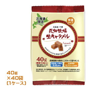 Ԕq@kC@L@퉷^Cv@v[@40g×40܁i1P[XjƖp@܂Ƃߔ@@kCyY@XC[c@@َq