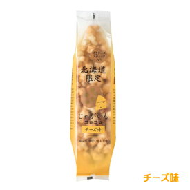 HORI じゃがいもコロコロ　チーズ味　170g　ホリ　おかき　和菓子　米菓　有名ブランド　北海道土産