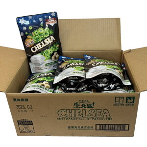 `FV[@LKibV@[OgXJb`@W21i90gj×15܁i1P[Xj@CHELSEA @LfB@@n@XRb`