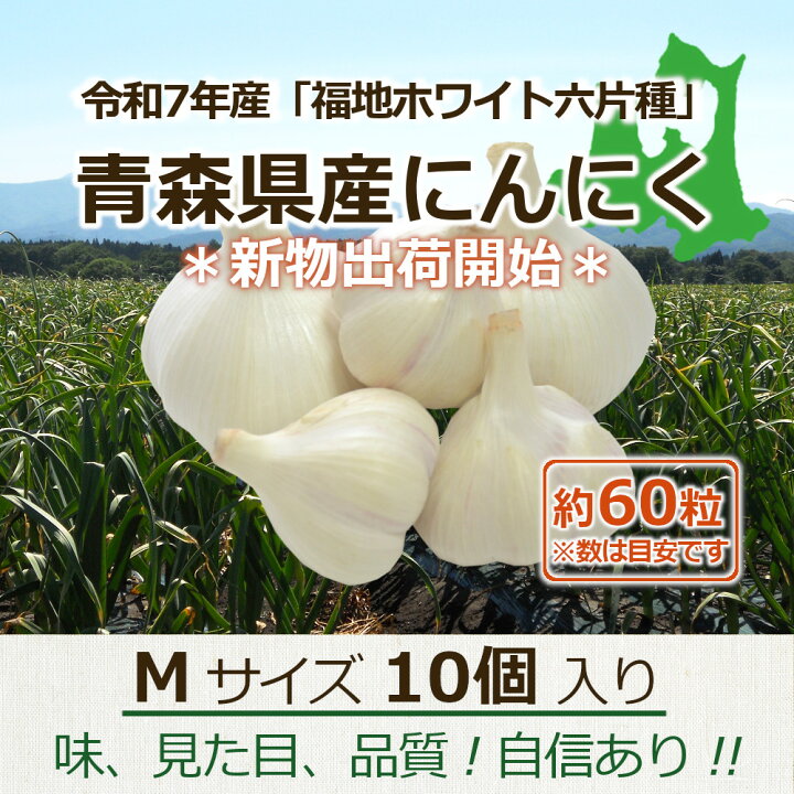 青森県産にんにくM10kg