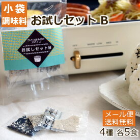 【初回限定！小袋調味料】ひとつまみ分のスパイスお試しセットB【黒こしょう あらびき塩こしょう 塩こしょう ごま塩】 ヒビキスパイス 【個包装 携帯 ミニ 使いきり 小分け 個別包装 香辛料 おためし 弁当 バーベキュー BBQ キャンプ 旅行】