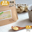 【国産・無添加・自社製造】国産しょうがパウダー 35g ヒビキスパイス 【生姜パウダー 粉末 ショウガ ジンジャー 九州 乾燥生姜 冷え性 ショウガオール 生姜オール 生姜紅茶 ジンジャーシロップ 生姜シロップ スパイス 香辛料 調味料】