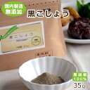 【無添加・国内自社製造】黒こしょう 35g ヒビキスパイス 【黒胡椒 黒コショウ 黒コショー ブラックペッパー BP 粉末 パウダー スパイス 香辛料 調味料 中華、洋食 下味 大容量】