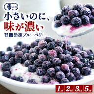 有機JAS オーガニック ワイルド 冷凍ブルーベリー 1kg 2Kg 3Kg 5Kg 野生種 ［冷凍のみ］農薬栽培期間中不…