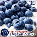 北海道産 冷凍オーガニック ブルーベリー 有機JAS認証 500g 1Kg［冷凍のみ］ 有機JAS 国産 有機 ブルーベリー【2〜3営…