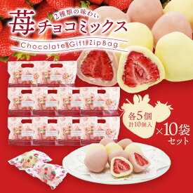 ＼1袋当り 720円!!／2種のフリーズドライ苺チョコミックス100個(10個×10P) 苺チョコ チョコ チョコレート　［基本冷蔵/冷凍も可］【2～3営業日以内に出荷】【送料無料】 本命 おしゃれ オシャレ かわいい 可愛い ギフト ばらまき