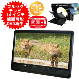 ポータブル テレビ 14インチ 14型 DVDプレーヤー 搭載 地デジ モニター フルセグ 壁掛け TV 携帯テレビ ワンセグ 3電源対応 充電式 地上デジタル 地デジ録画機能搭載 DVDプレイヤー 持ち運び 車載可能 AK-TDV14R 【送料無料(北海道、沖縄、離島は適用外)】