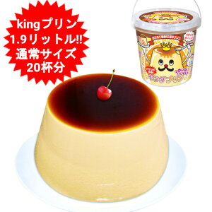 LOv mَq XC[c v oPcō v ʏ̃Jbvv 20t 1.9bg a p[eB[ Cxg rbOv rbNv 傫v